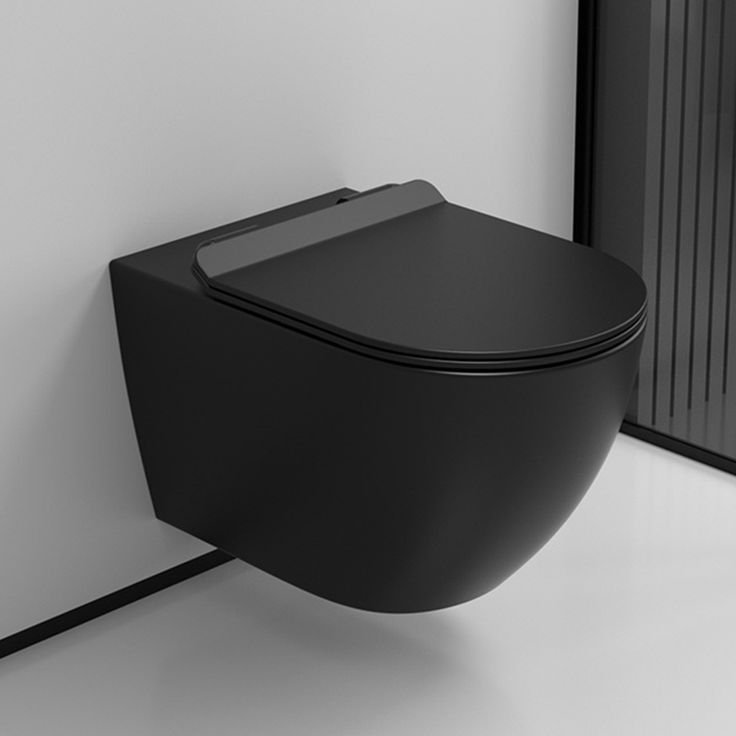 Luxury Bidet System